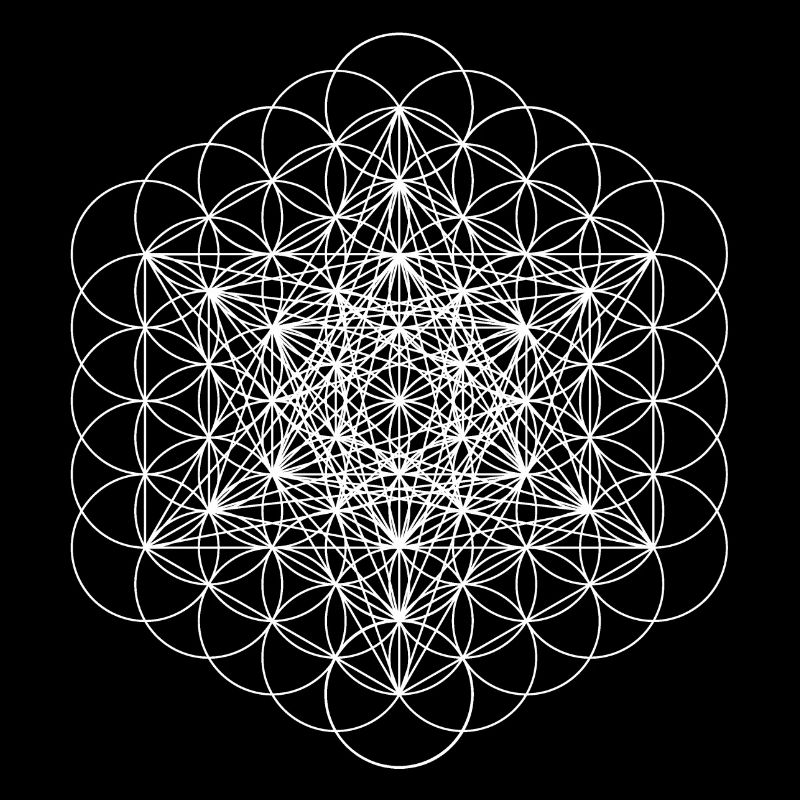 metatrons cube white