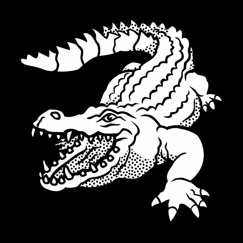 Kroko 79