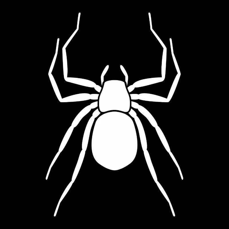 spider
