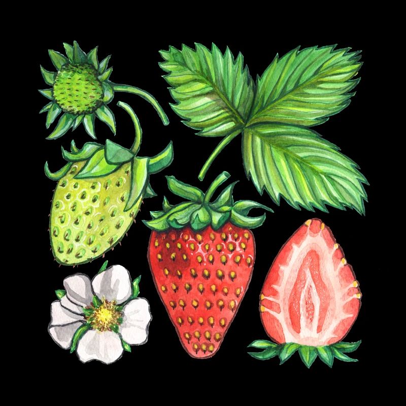 Erdbeeren