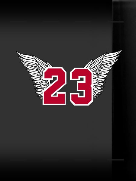 Basketball nummer 23 Michael Jordan