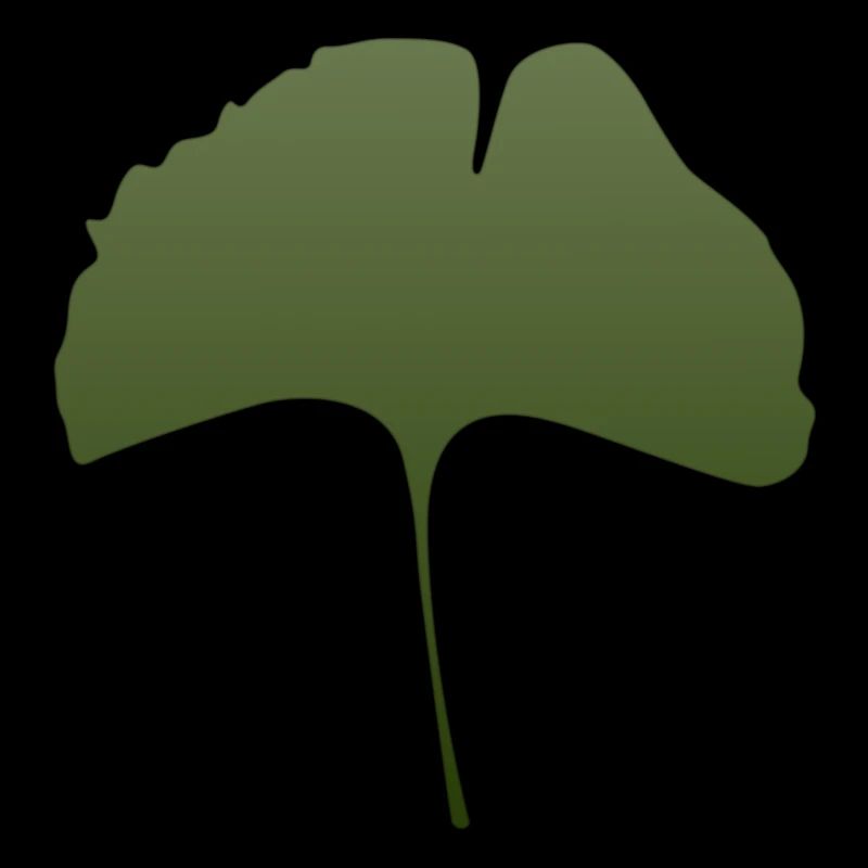 ginkgo