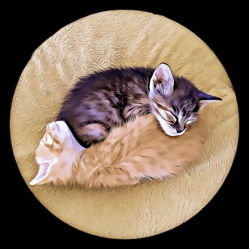 Zwei schlafende Tabby-Kätzchen, die sich gegenseitig halten