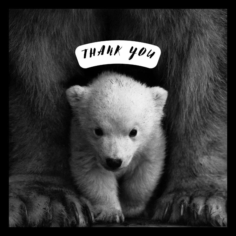 Süßer Eisbär mit Mama