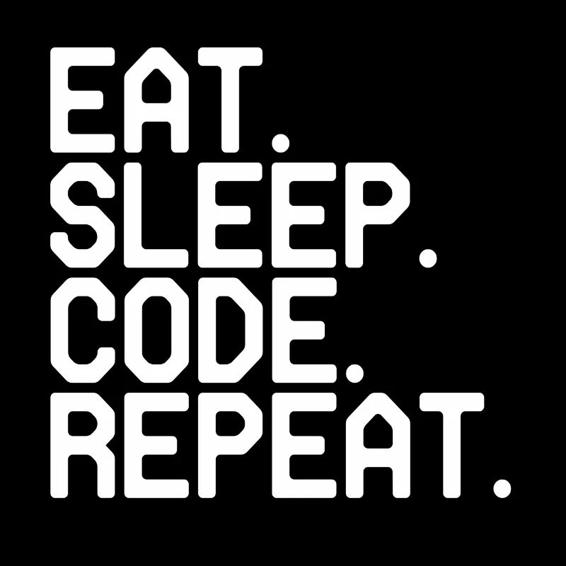 Programmer
