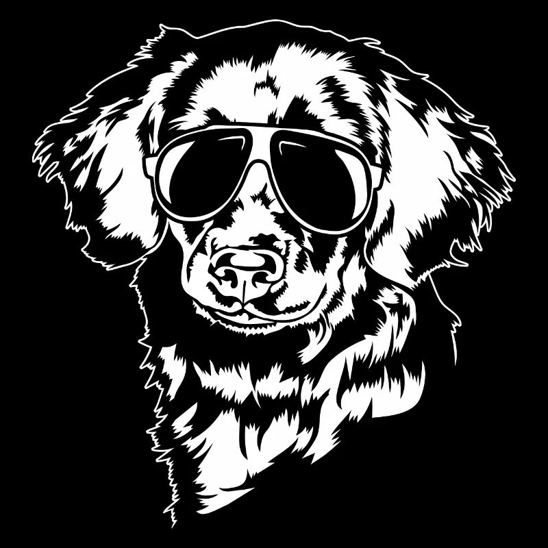 Stabjihoun cool Hunde Hund Stabyhoun Wilsigns
