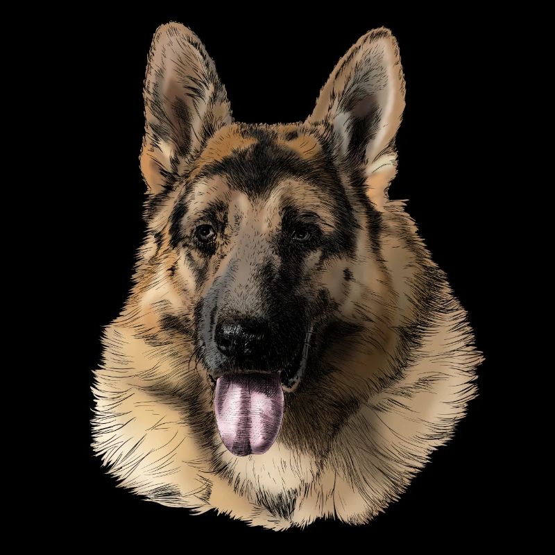 German shepherd