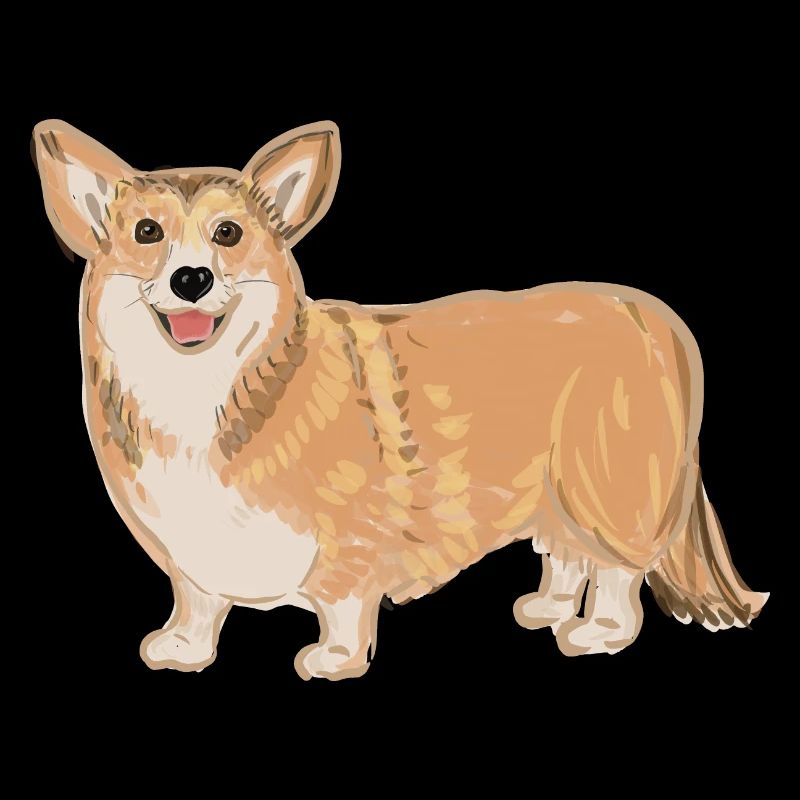 Corgi debout