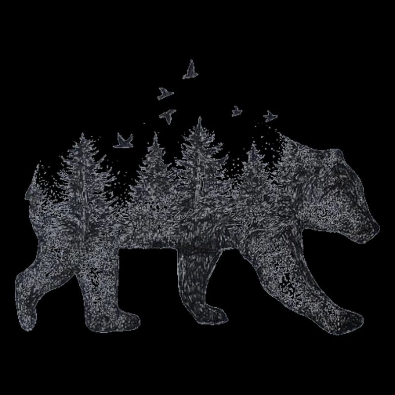 Nature Bear Drawing