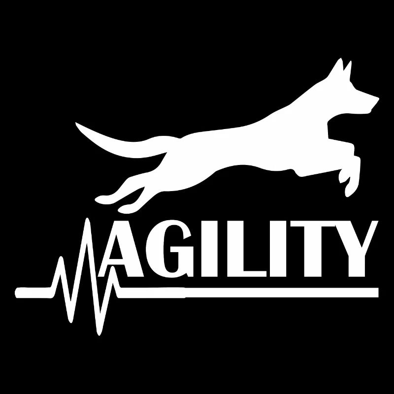 Agilité de chien de chien