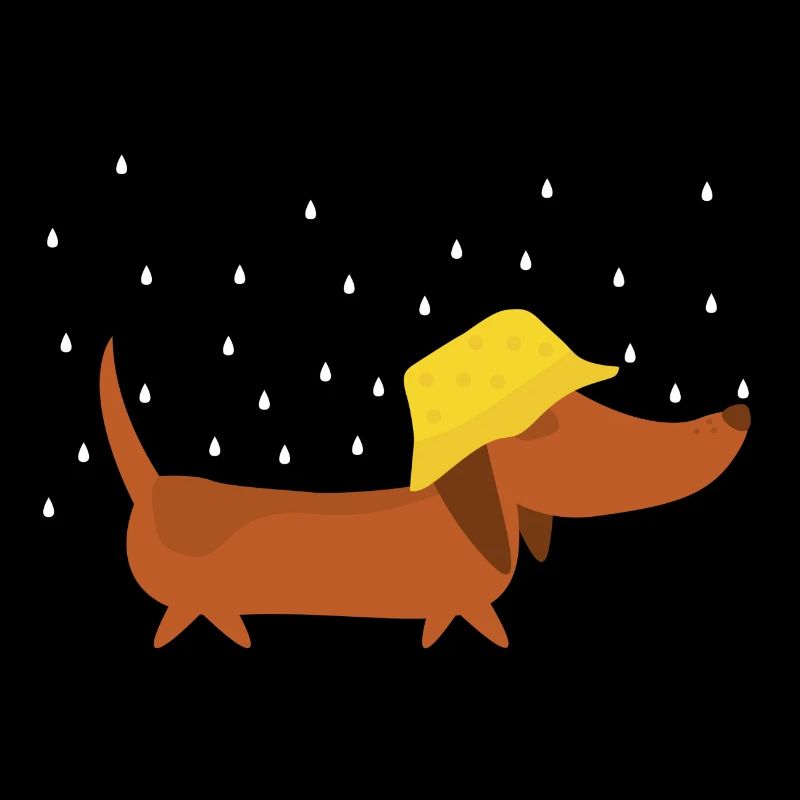 Dachshund with rain hat