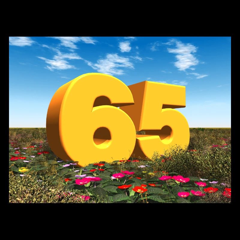 Year 65
