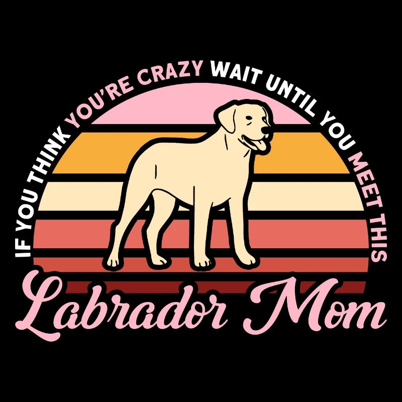 Haustier Labrador Mama Hund Labrador