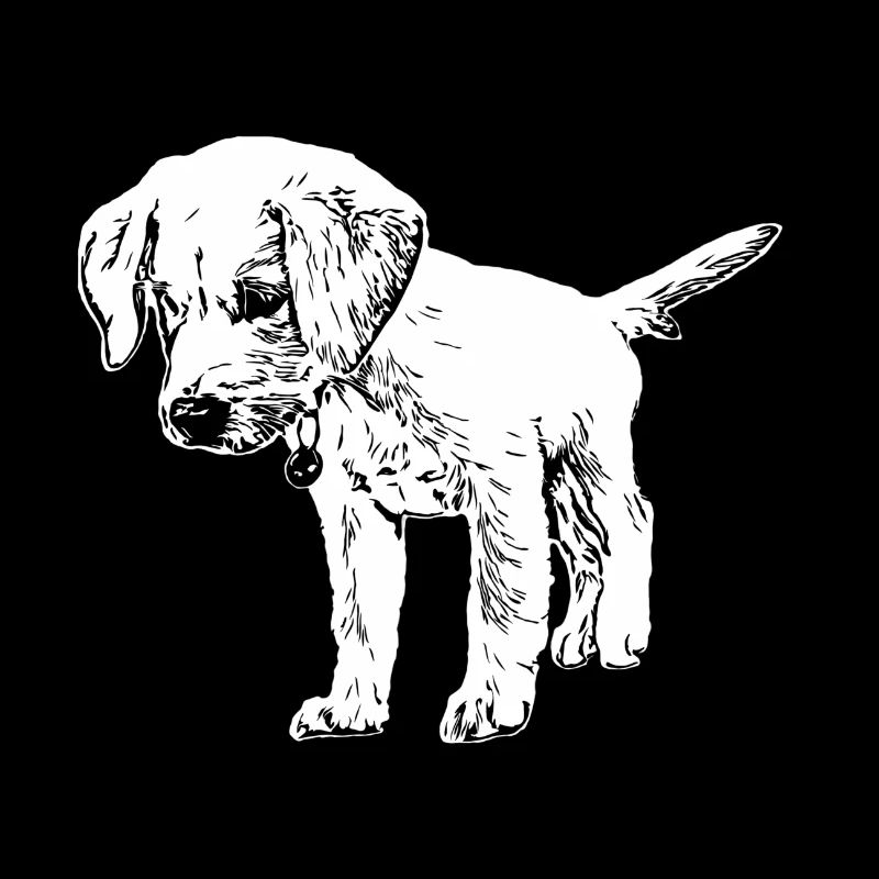Labrador puppy drawing