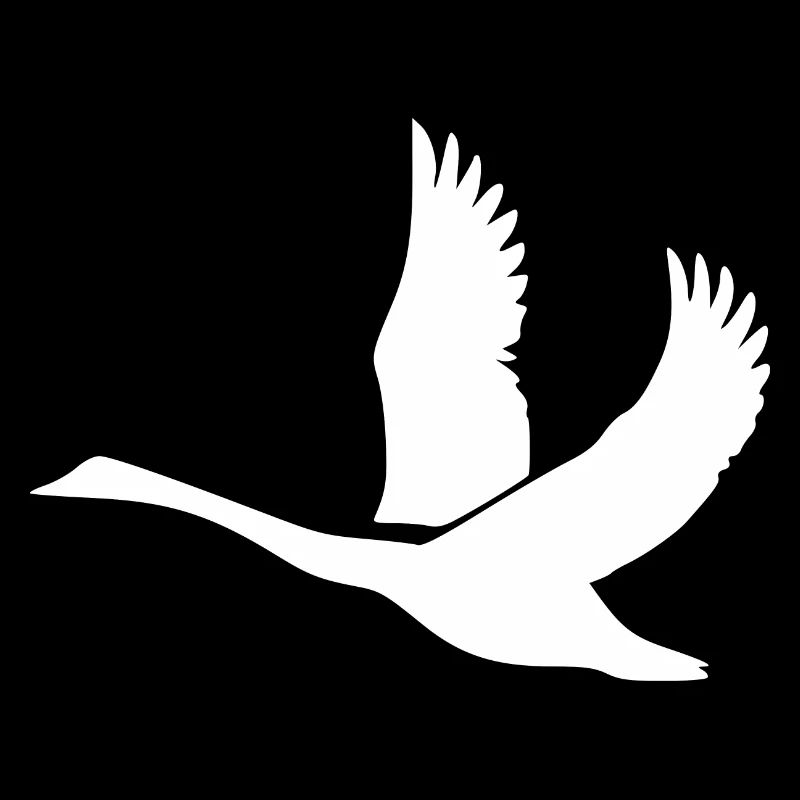 Schwan mit gewaltigen Schwingen