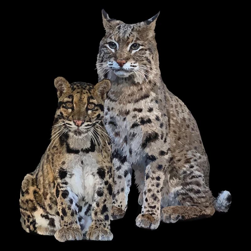 Nebelparder und Luchs