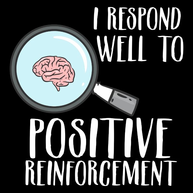 Positive Reinforcement