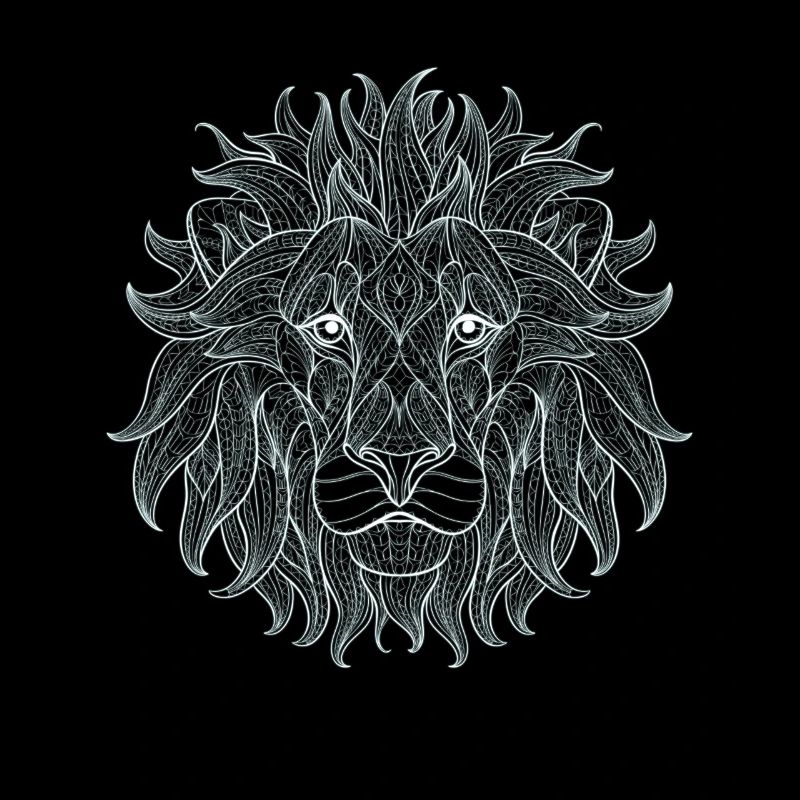 Lion white lion king outline mandala pattern head