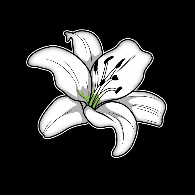 Élégante fleur de lys blanc