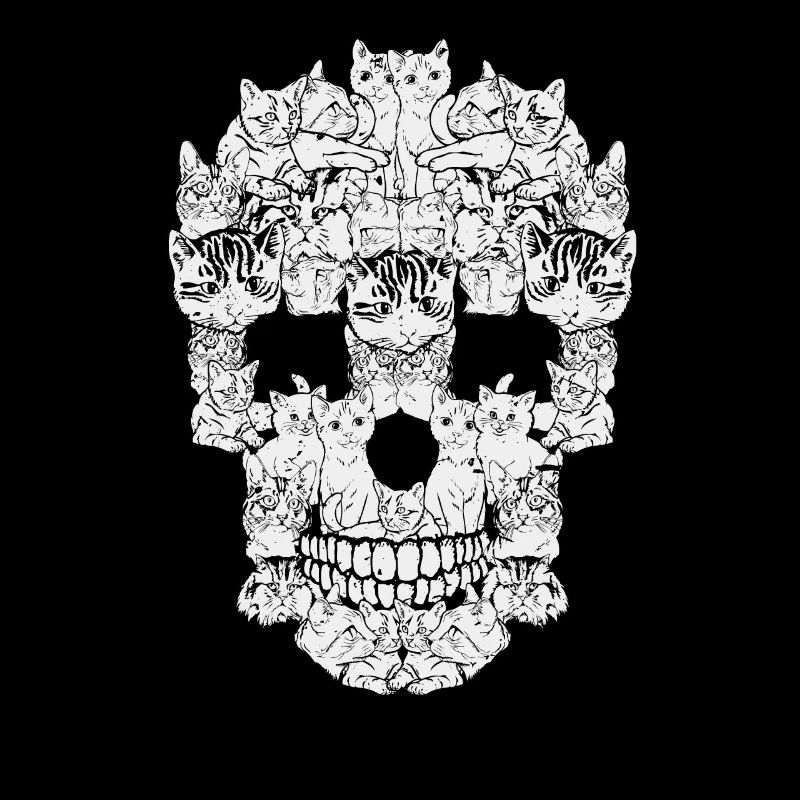 Cats skull