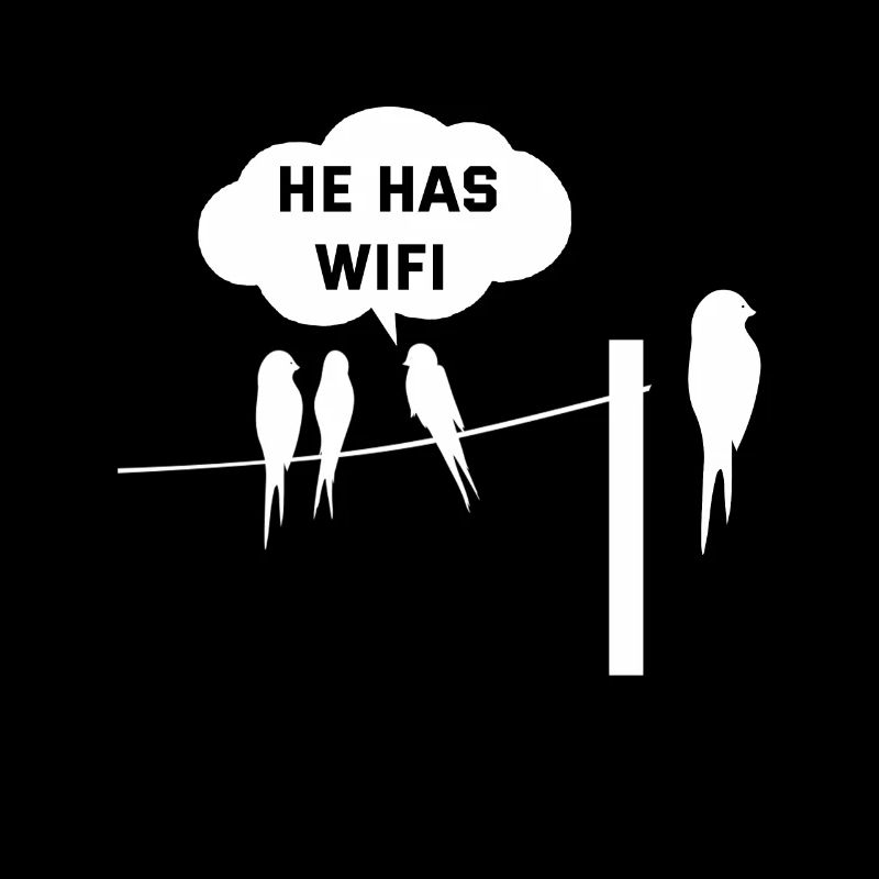 Oiseau WiFi Wifi Drôle