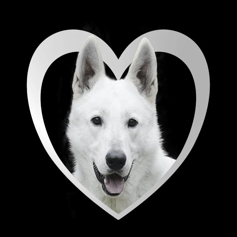 White Shepherd - White Shepherd Heart