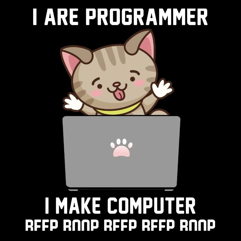 Programmierer