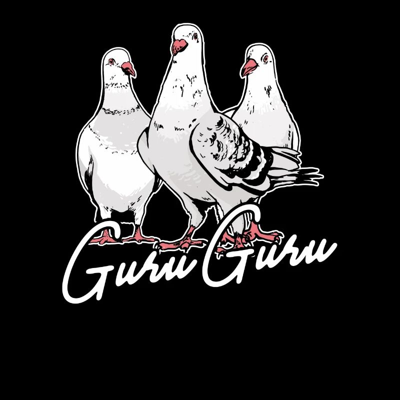 Brieftauben Guru Guru Tauben