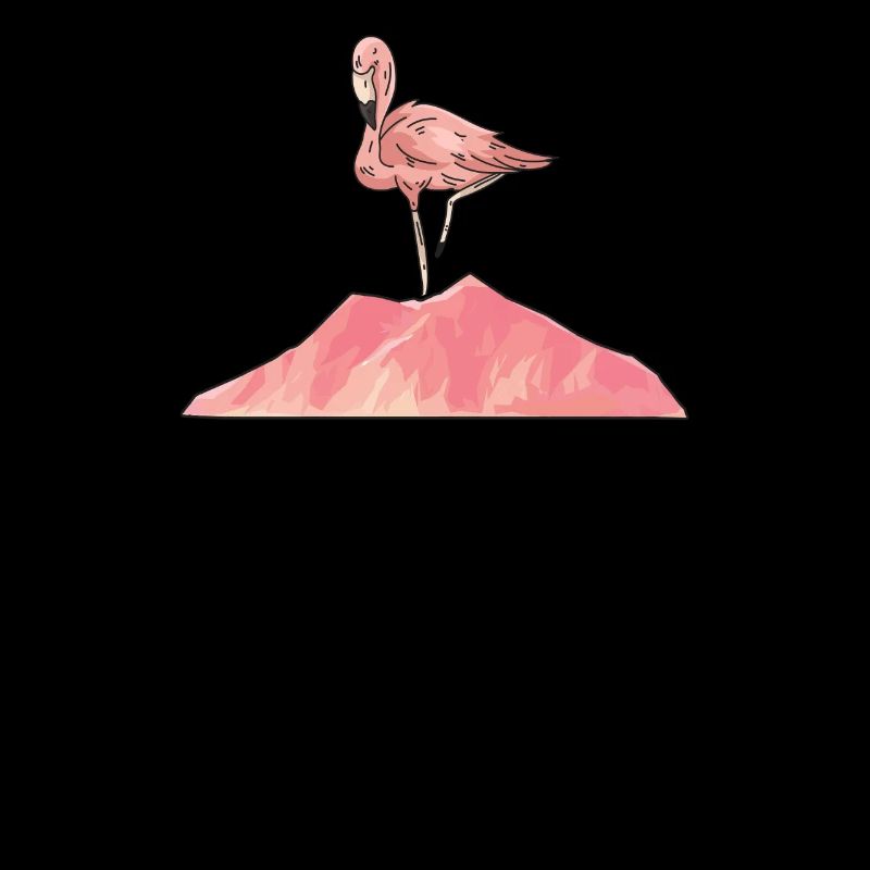 Flamingo Hiking Team We Will Get There