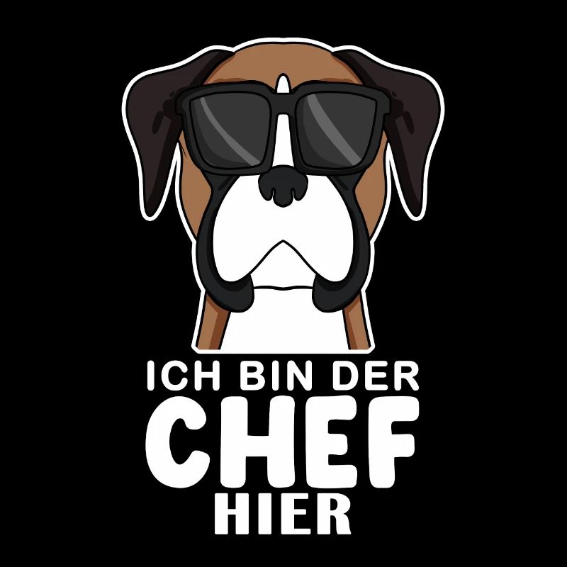 Hund Deutscher Boxer Cool Chef