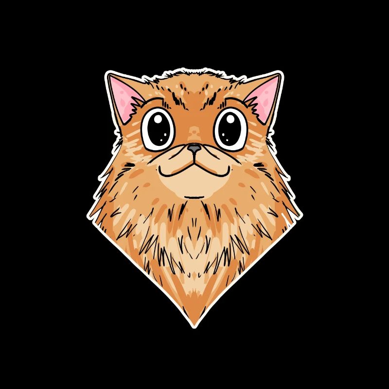 Chat persan Race de chat Chat