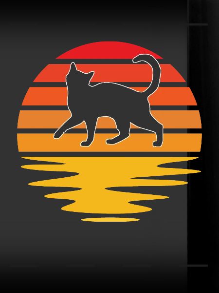 Chat Rétro