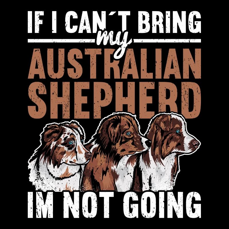 Australian Shepherd