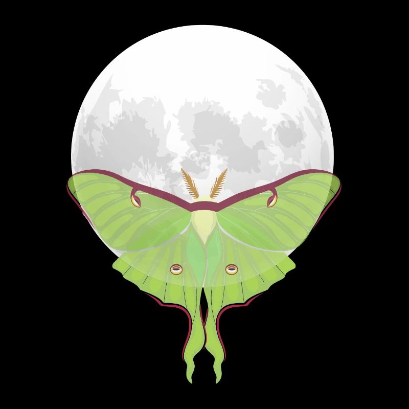 Actias luna - Papillon de nuit devant la Lune