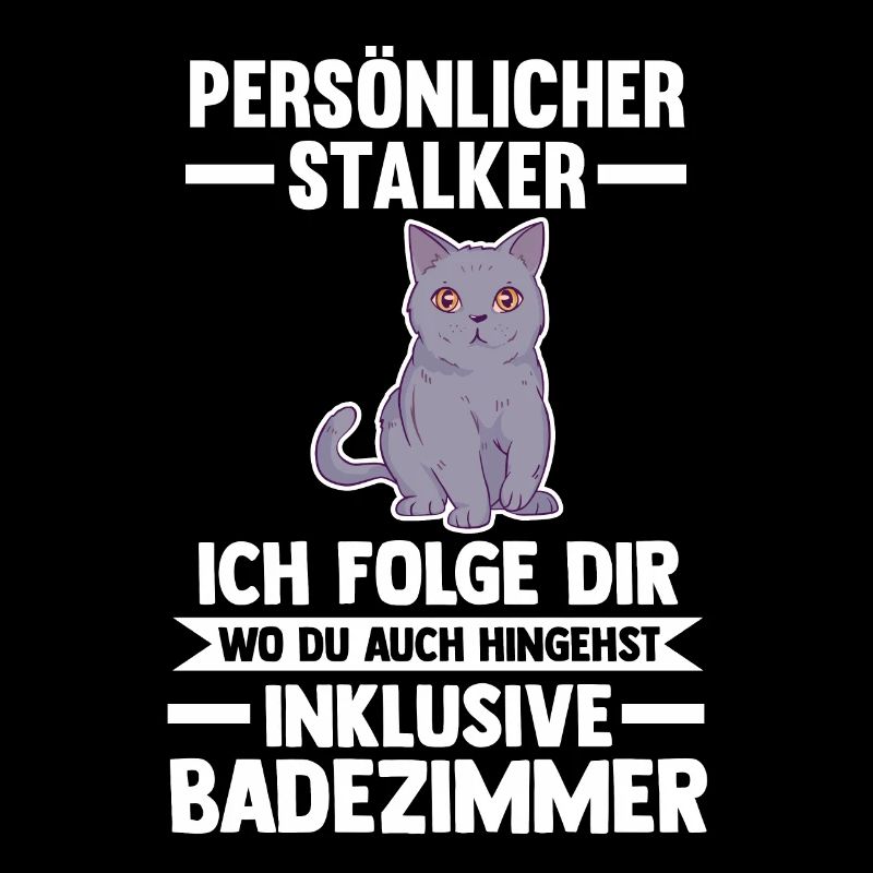 Britisch Kurzhaar Katze