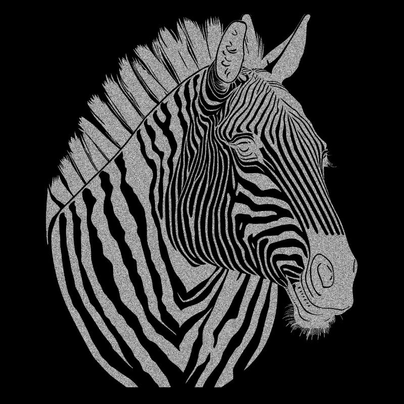 Zebra Noir