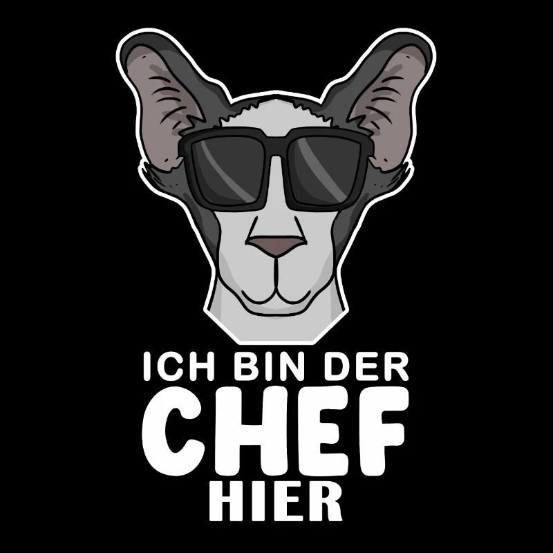 Chef Spruch Anführer Hund