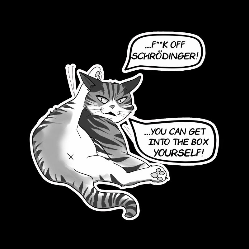 Chat Schrödinger