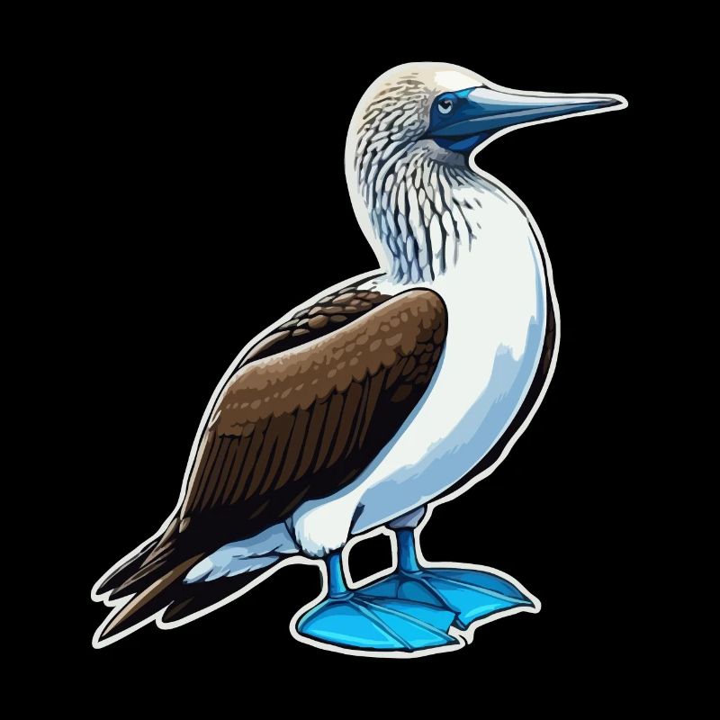 Bird Blue Footed Booby Birds Bird Gift