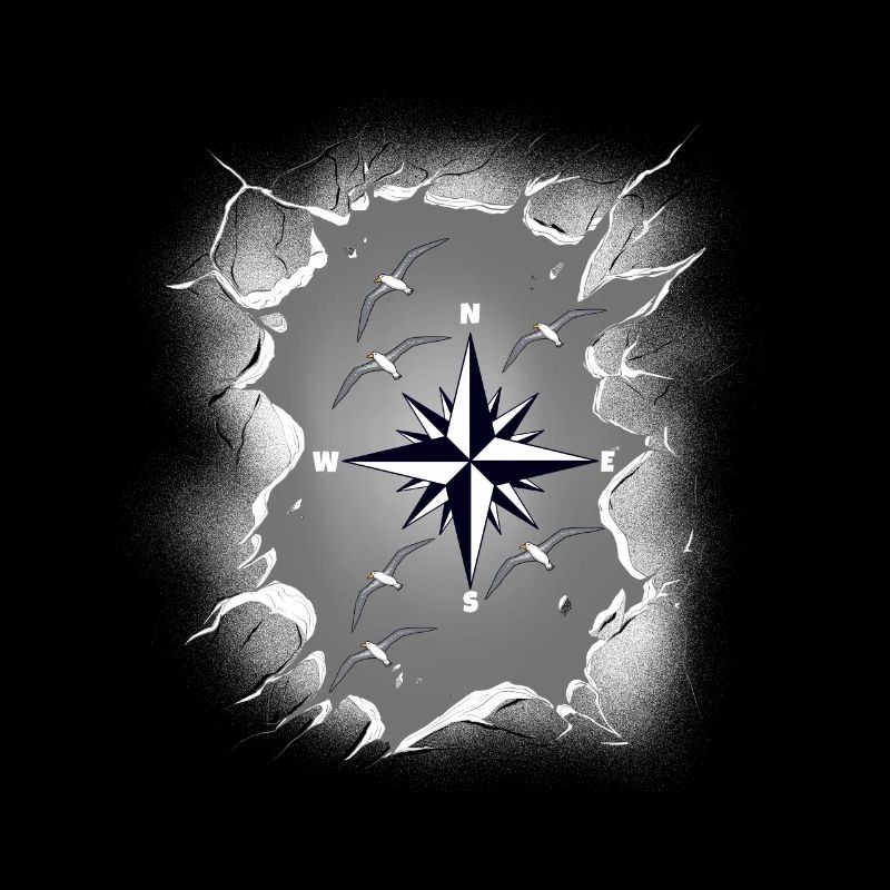 Möwen Möwe Kompass maritim