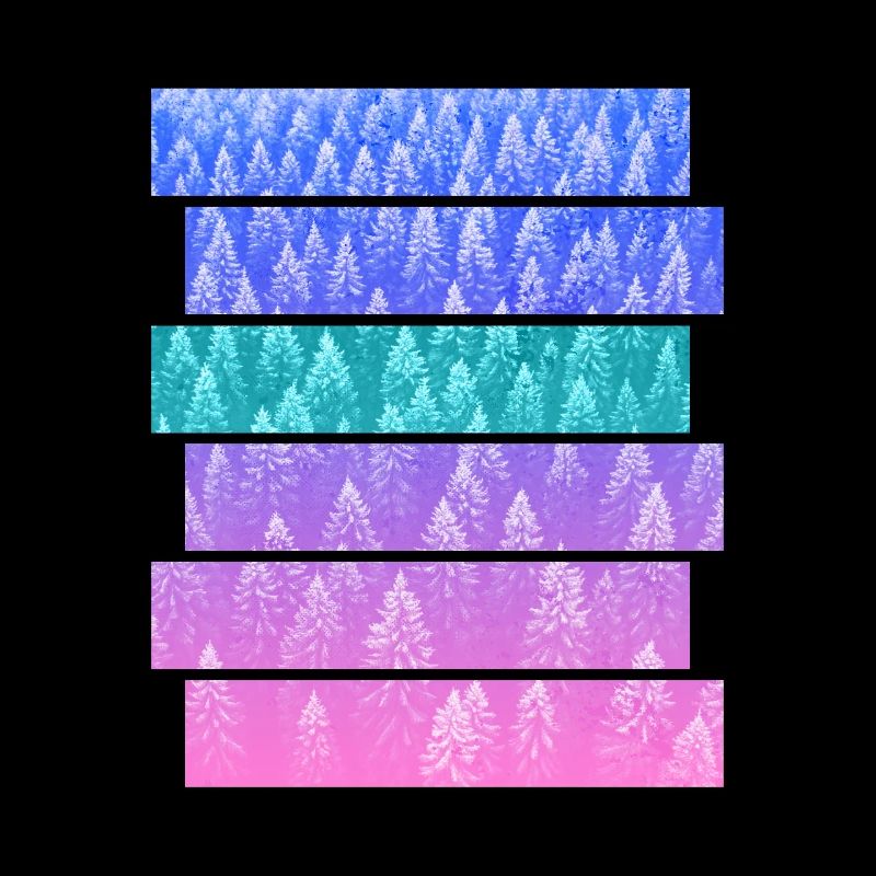 Sapin