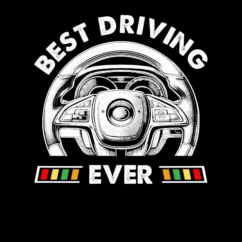 Driving School Driving Instructor