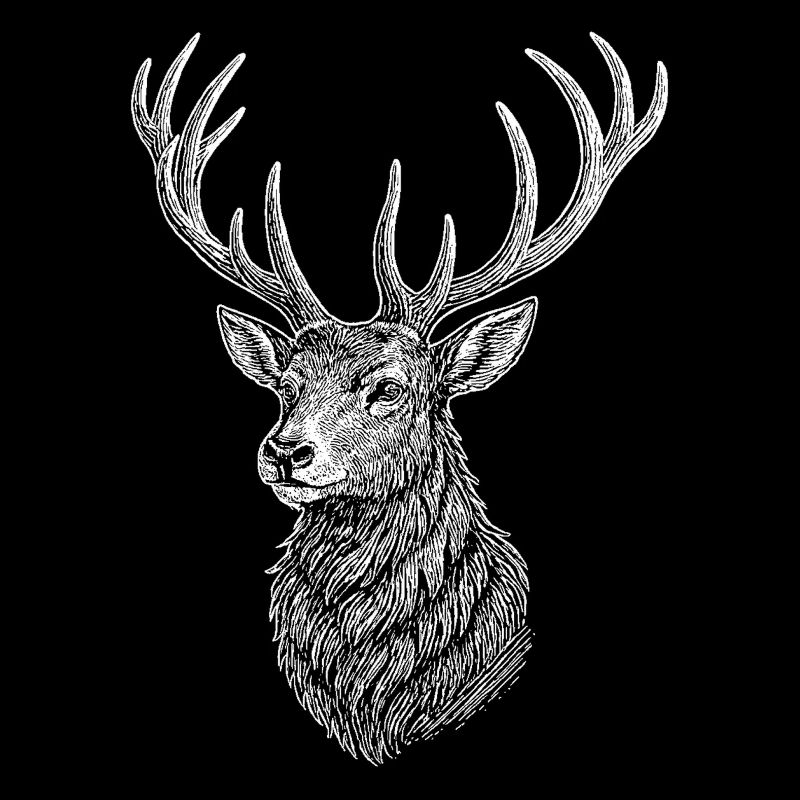 Hirsch