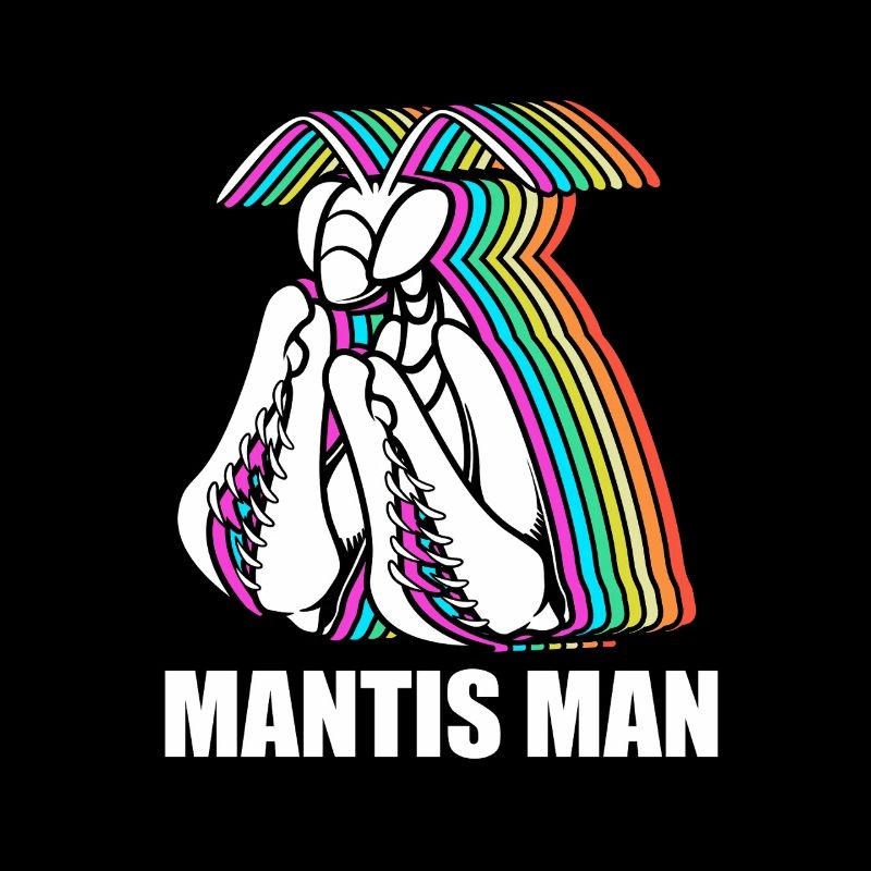 Gottesanbeter Gottesanbeterin Mantis