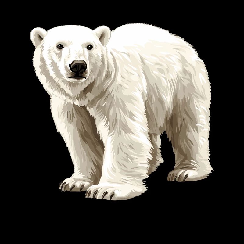 Polar Bear Illustration Pure White