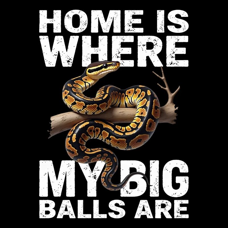 Python roi Serpents Amateurs de terrarium Python