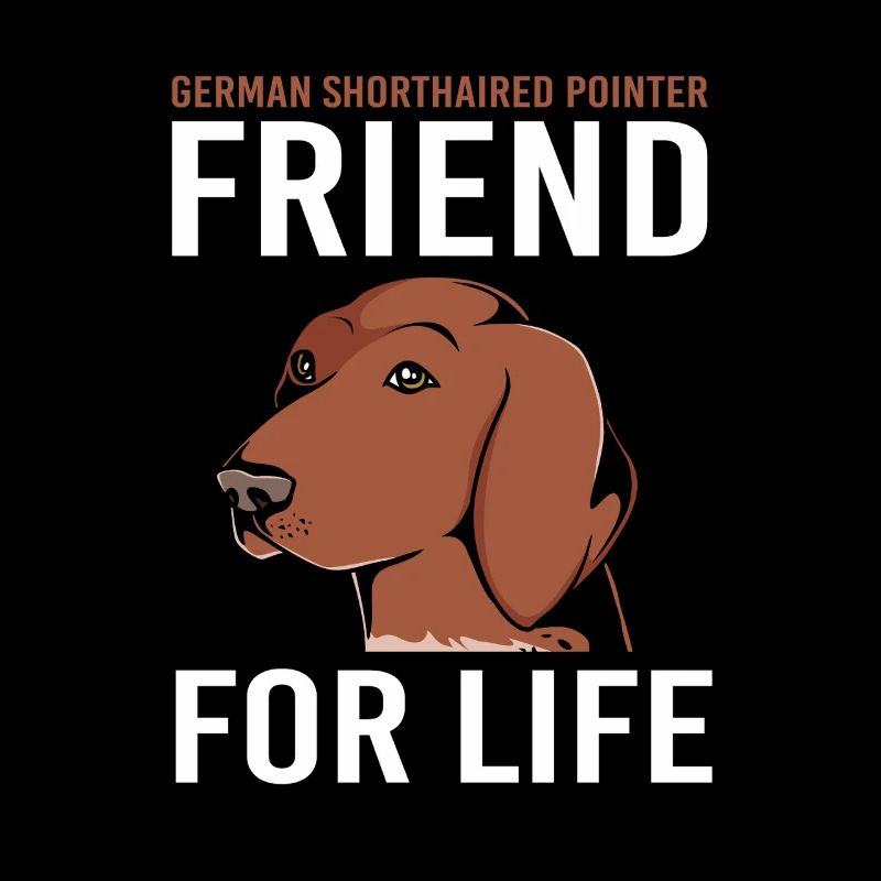 German Pointer Hund Deutsch Kurzhaar