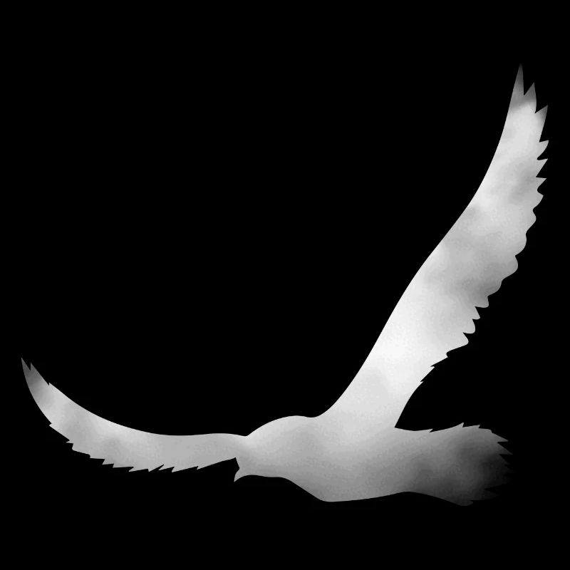 Bird silhouette from cloud