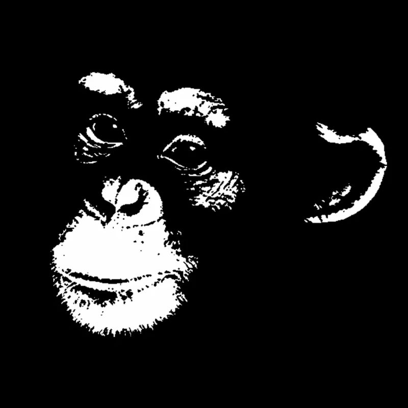 Schimpanse - Chimp - Chimpanzee