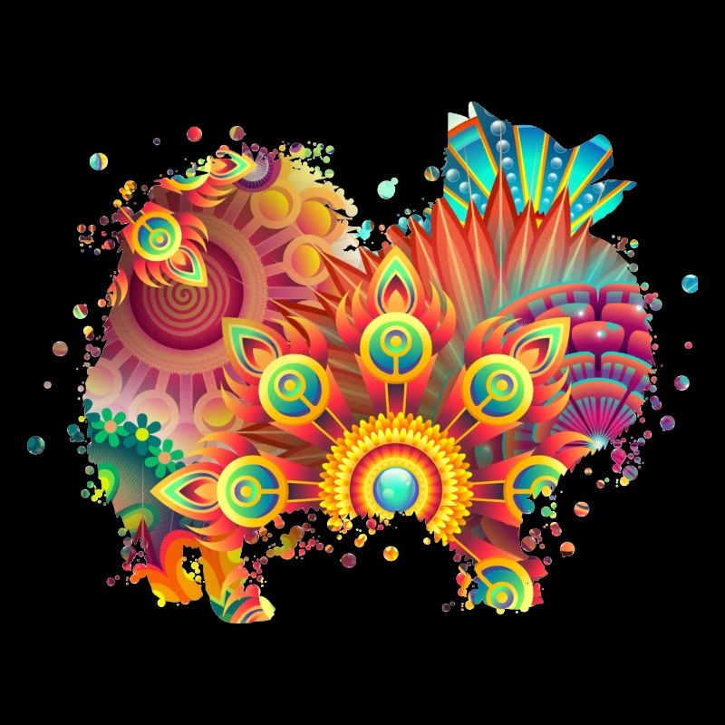 German Spitz Hund Deutscher Spitz